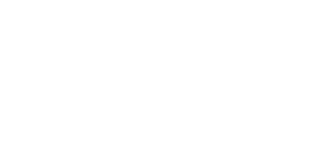 L S Passos